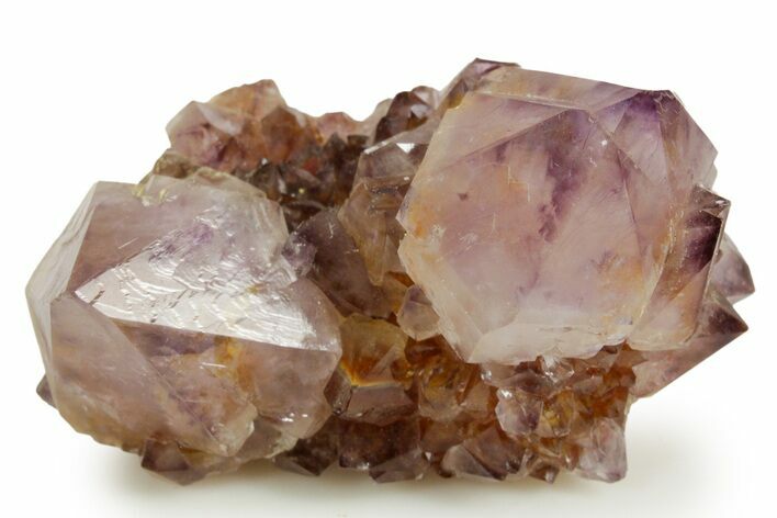 Deep-Purple Cactus Amethyst Crystal Cluster - South Africa #364583